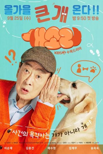 مسلسل كلب يعرف كل شيء Dog Knows Everything الحلقة 1 مترجمة