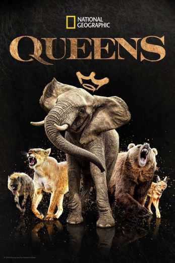 مسلسل Queens الحلقة 3 مترجمة