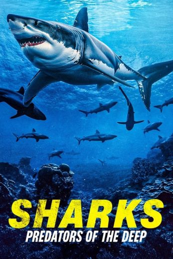 مشاهدة فيلم Sharks Predators of the Deep 2024 مترجم